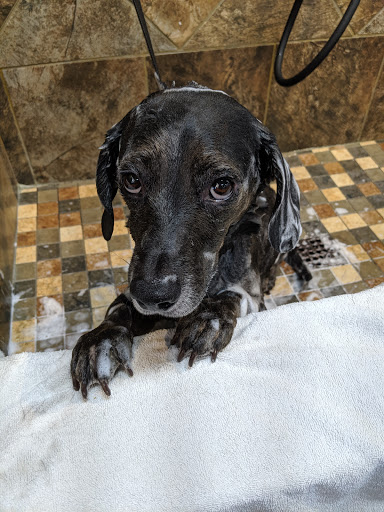 Pet Store «Pet Valu», reviews and photos, 1422 North Point Village Center, Reston, VA 20194, USA