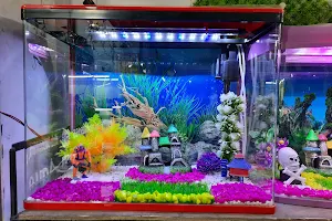 Unique Fish Aquariums image