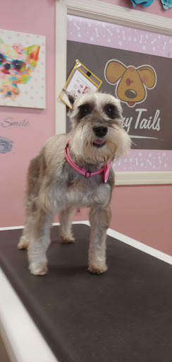 Pet Groomer «Furry Tails Pet Grooming», reviews and photos, 865 Cypress Pkwy, Poinciana, FL 34759, USA