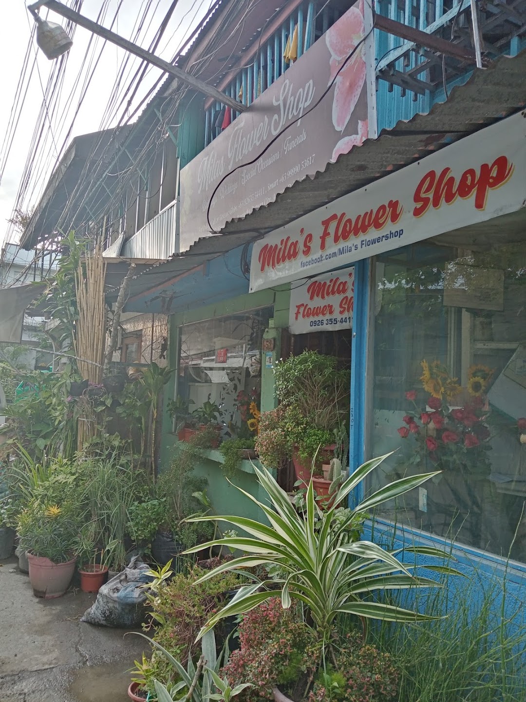 Milas flower shop butuan city