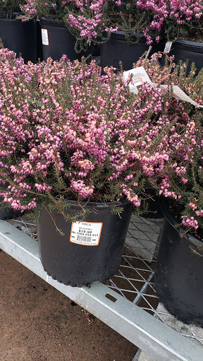 Home Improvement Store «The Home Depot», reviews and photos, 150 Mountaineer Dr, Stroudsburg, PA 18360, USA