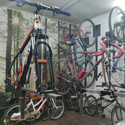 Opiniones de BigBear Bike Workshop SpA en La Cisterna - Tienda de bicicletas
