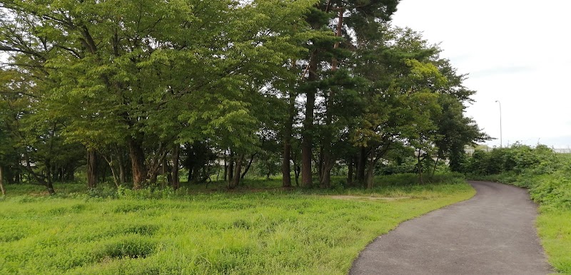 桜本運動公園