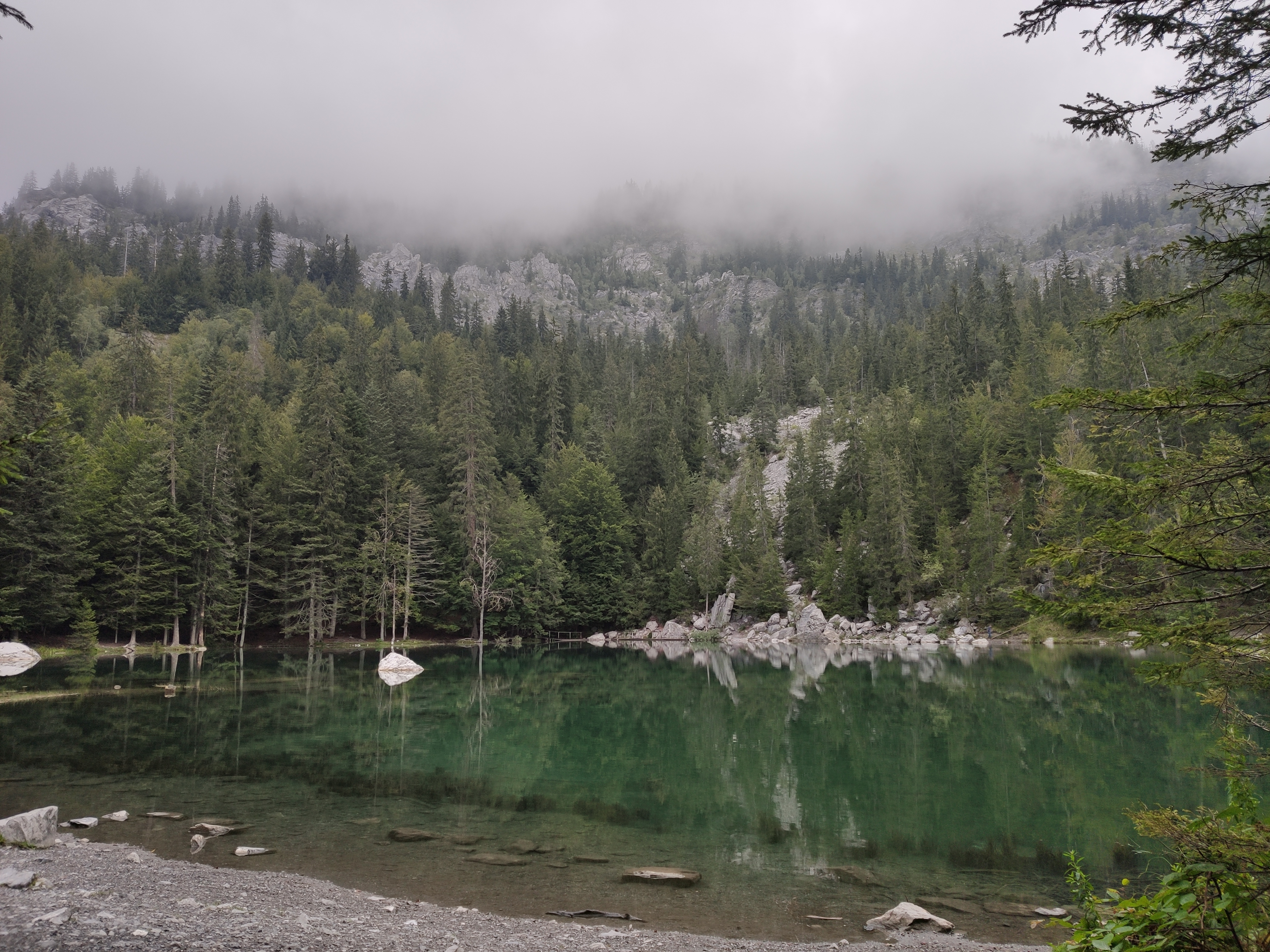 Photo n° 5 de l'avis de Victoria. fait le 08/09/2019 à 11:05