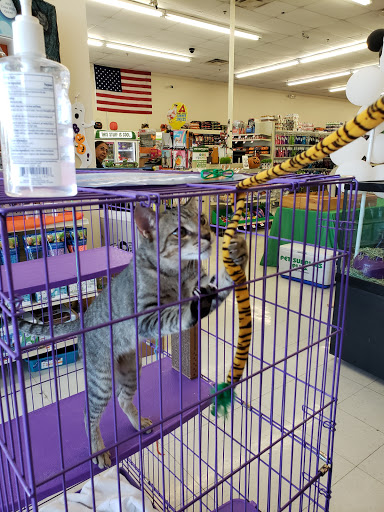 Pet Supply Store «Pet Supplies Plus», reviews and photos, 1258 Northlake Blvd, Lake Park, FL 33403, USA