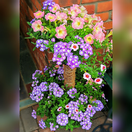 Florist «Sunnywoods Florist», reviews and photos, 251 Main Street, Chatham, NJ 07928, USA