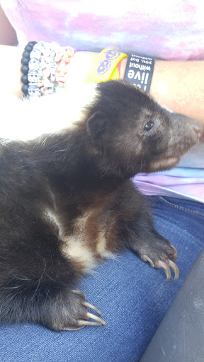 Wildlife Refuge «Big Run Wolf Ranch», reviews and photos, 14857 N Farrell Rd, Lockport, IL 60441, USA