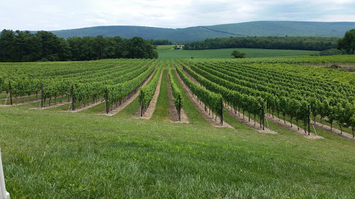 Winery «Galen Glen Winery», reviews and photos, 255 Winter Mountain Dr, Andreas, PA 18211, USA