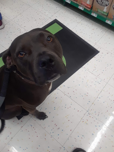 Pet Supply Store «Pet Supplies Plus», reviews and photos, 1380 W Lane Ave, Upper Arlington, OH 43221, USA