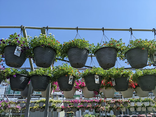 Home Improvement Store «The Home Depot», reviews and photos, 8334 Tamarack Village, Woodbury, MN 55125, USA