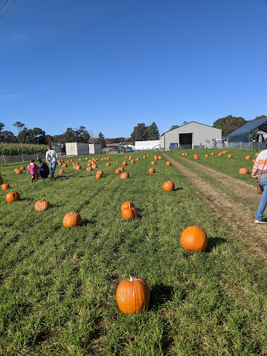 Farm «Four Town Farm», reviews and photos, 90 George St, Seekonk, MA 02771, USA
