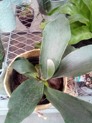 Home Improvement Store «The Home Depot», reviews and photos, 12300 La Mirada Blvd, La Mirada, CA 90638, USA