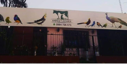 Animal's Centro
