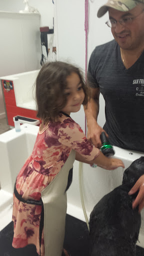 Pet Groomer «Happy Tails Self-Serve Dog Wash», reviews and photos, 267 Cotuit Rd Unit D, Sandwich, MA 02563, USA