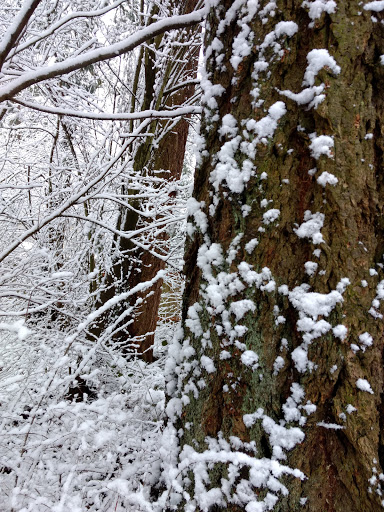 Park «Autumn Ridge Park», reviews and photos, NW Fieldstone Dr, Beaverton, OR 97006, USA