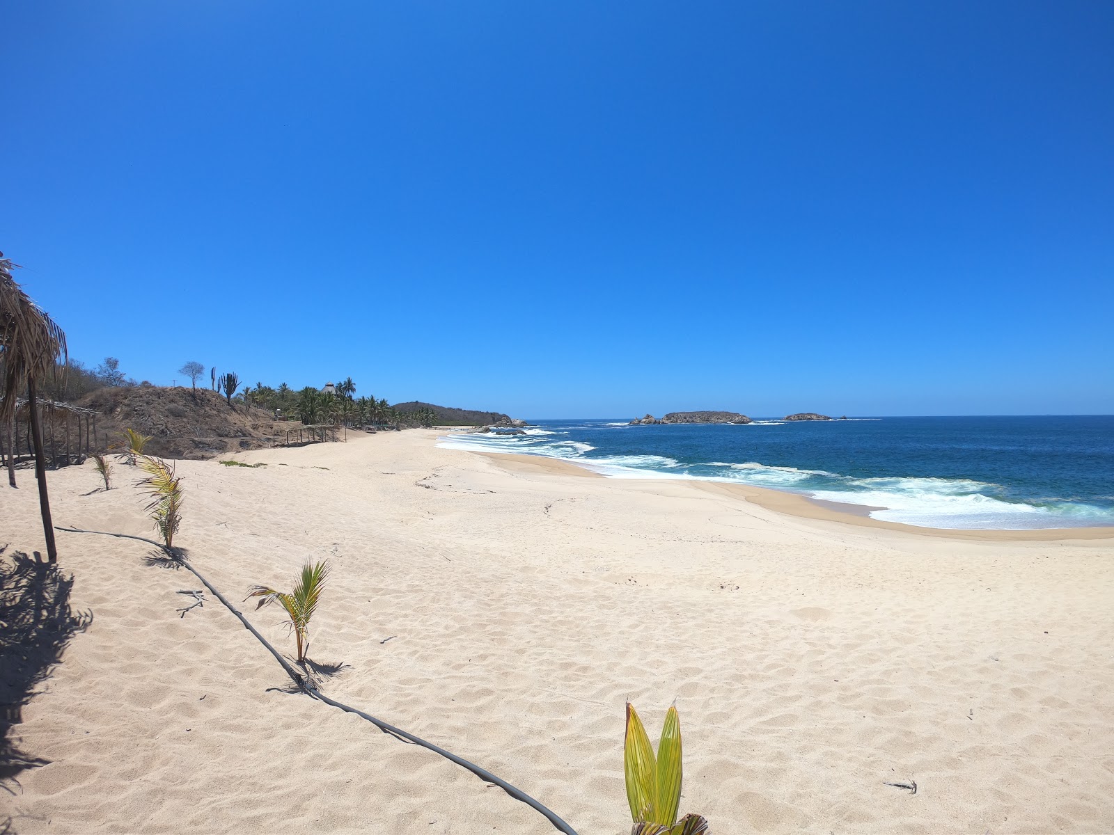 Foto de Praia de Manzanillera com alto nível de limpeza