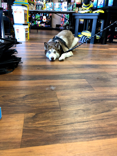 Pet Store «Pet Valu», reviews and photos, 2290 Central Park Ave, Yonkers, NY 10701, USA