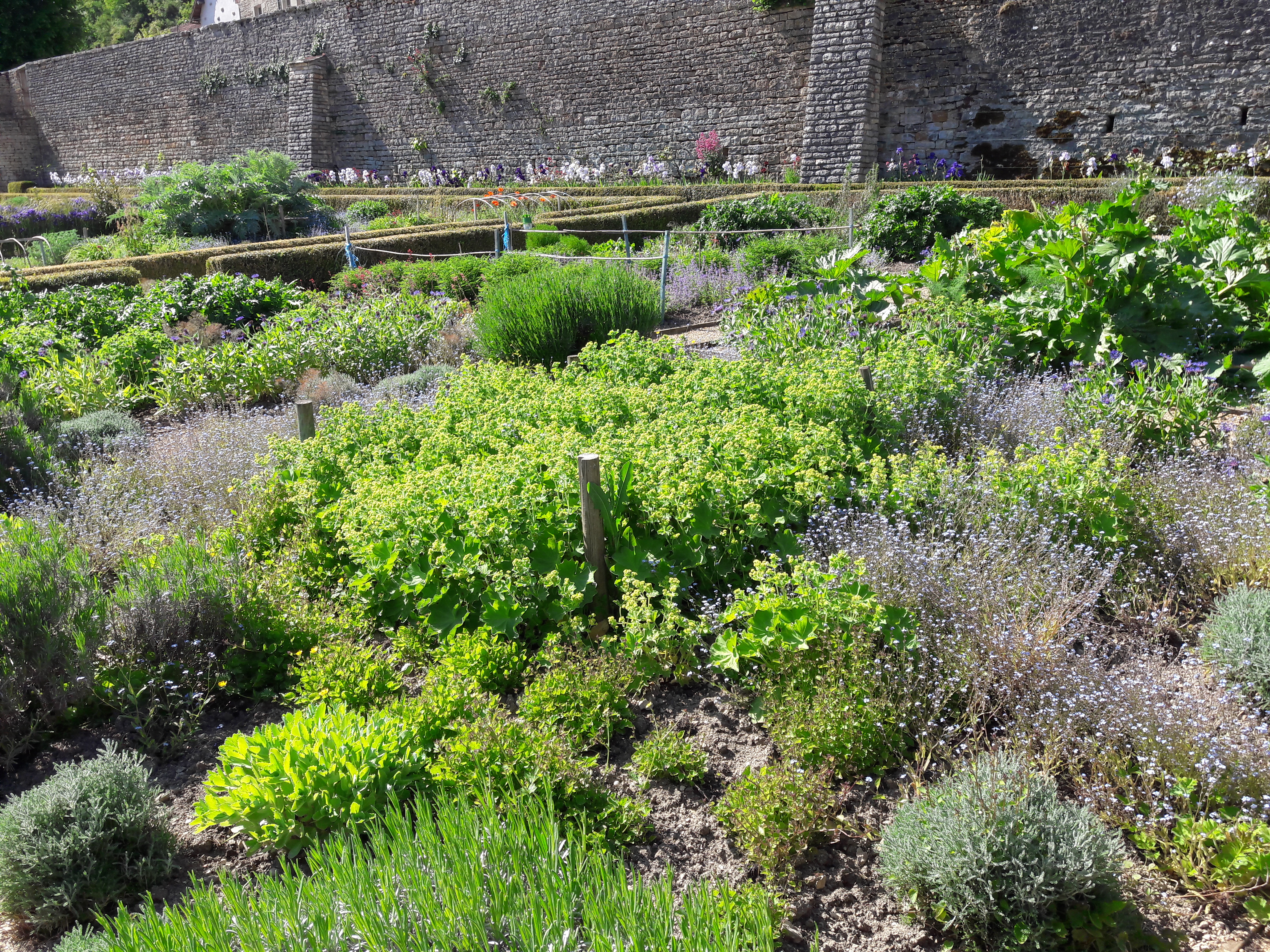 Photo n° 2 de l'avis de Veronique.u fait le 25/05/2019 à 16:36