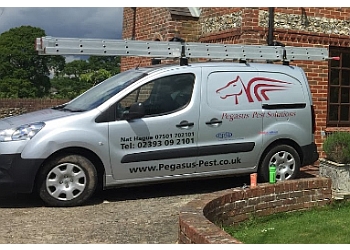 Reviews of Pegasus Pest Solutions Ltd in Southampton - Pest control service