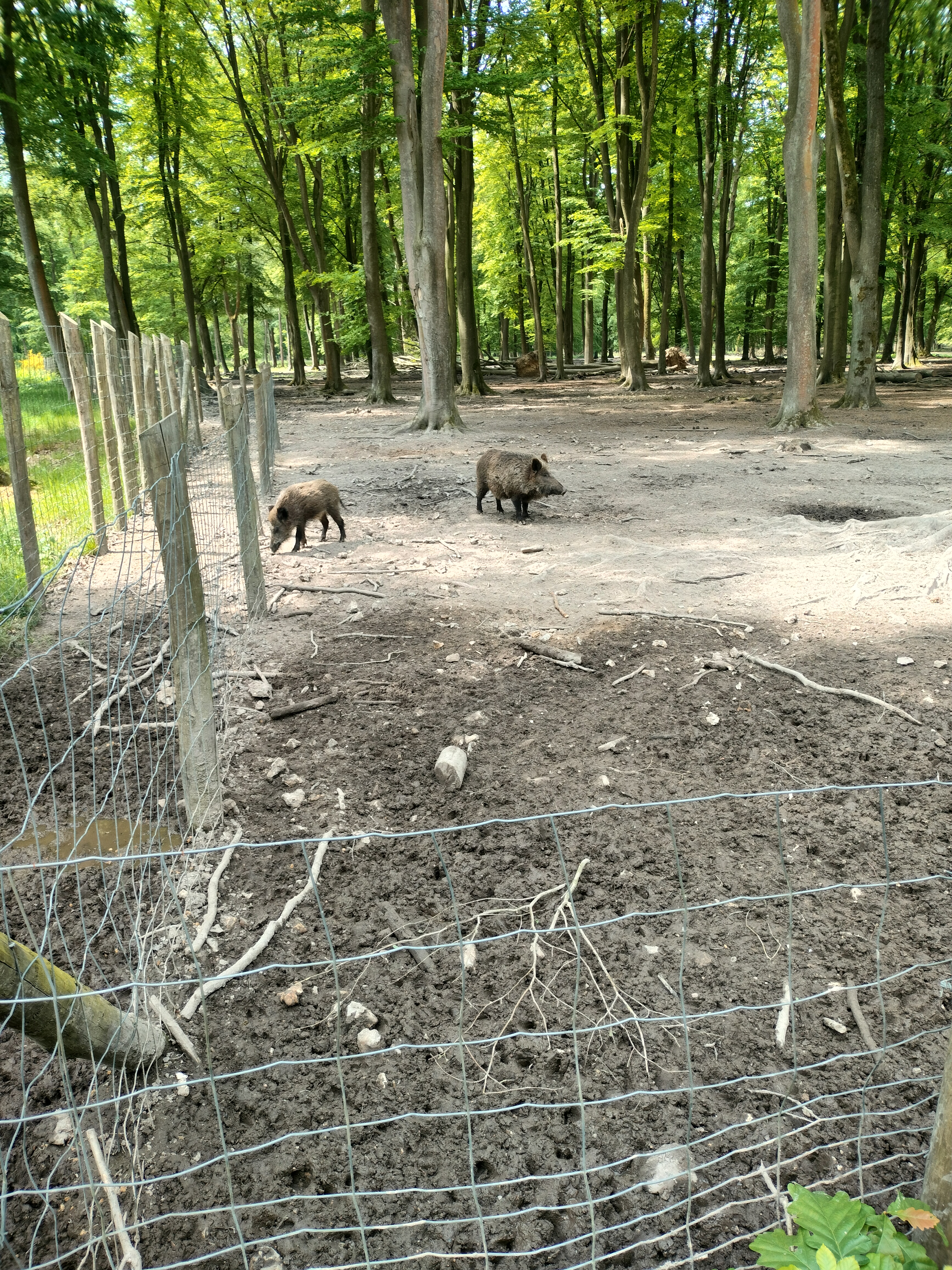 Photo n° 2 de l'avis de philippe.h fait le 24/05/2023 à 13:03