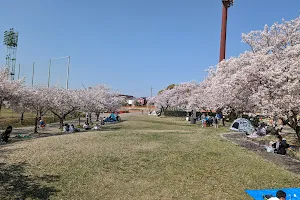 Miyoshi Park image