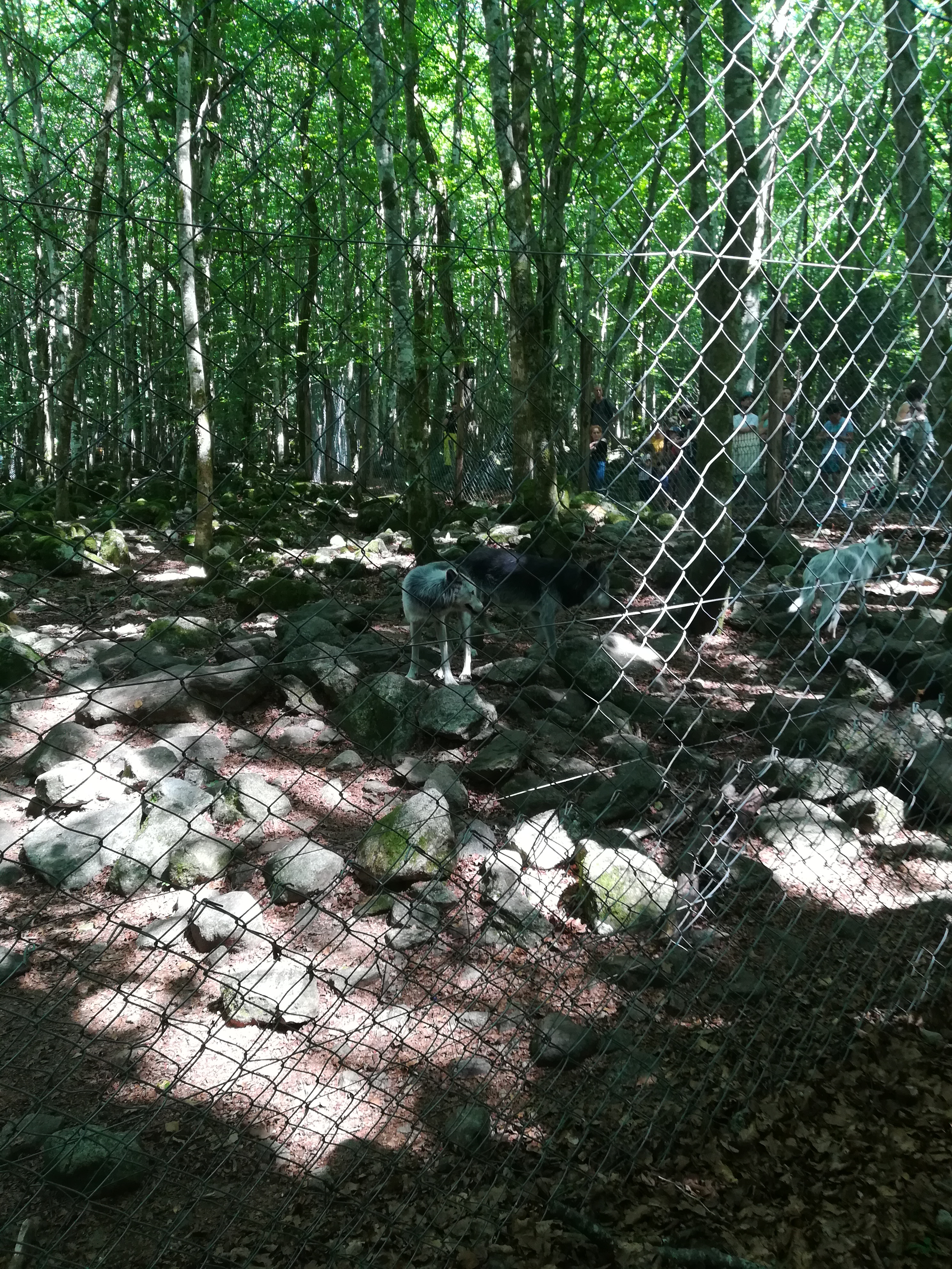 Photo n° 33 de l'avis de Audrey.� fait le 28/07/2017 à 17:11