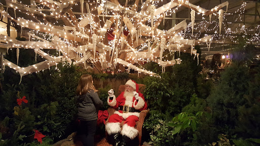 Plant Nursery «Martins Home & Garden», reviews and photos, 1020 NW Broad St, Murfreesboro, TN 37129, USA