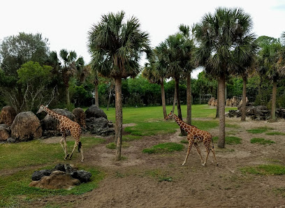  Jacksonville Zoo and Gardens