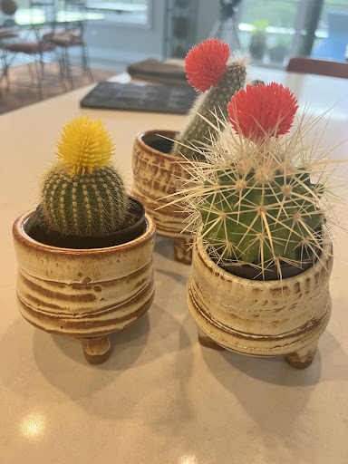 Florist «Tulipia Floral Design», reviews and photos, 7617 Lake St, River Forest, IL 60305, USA