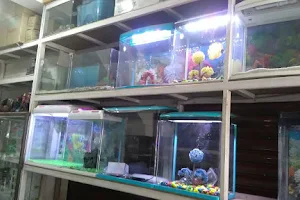 Modern Fish Aquarium image