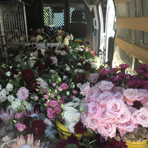 Florist «Posh Petals», reviews and photos, 1134 E 54th St A, Indianapolis, IN 46220, USA
