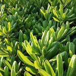 Photo n°39 de l'avis de Gergely.a fait le 03/05/2019 à 05:33 sur le  President Park Hotel à Aci Castello