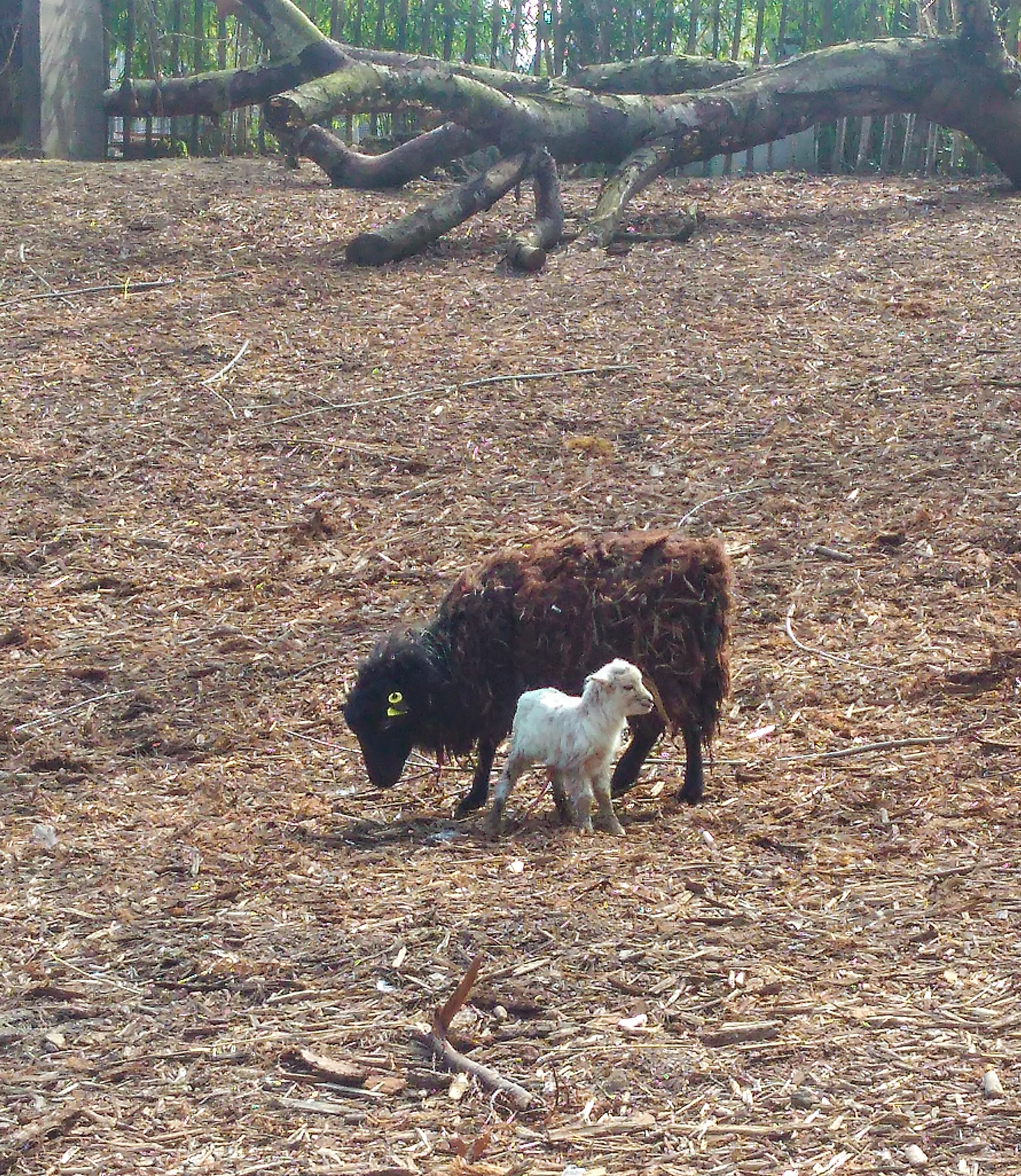 Photo n° 4 de l'avis de Christelle. fait le 31/03/2018 à 11:38