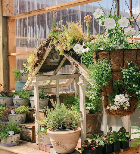 Hardware Store «Economy Supply of Lebanon», reviews and photos, 1055 Tangent St, Lebanon, OR 97355, USA