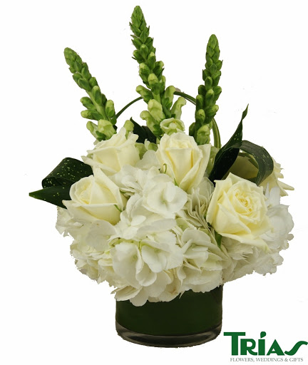 Florist «Trias Flowers & Gifts», reviews and photos, 6520 SW 40th St, Miami, FL 33155, USA