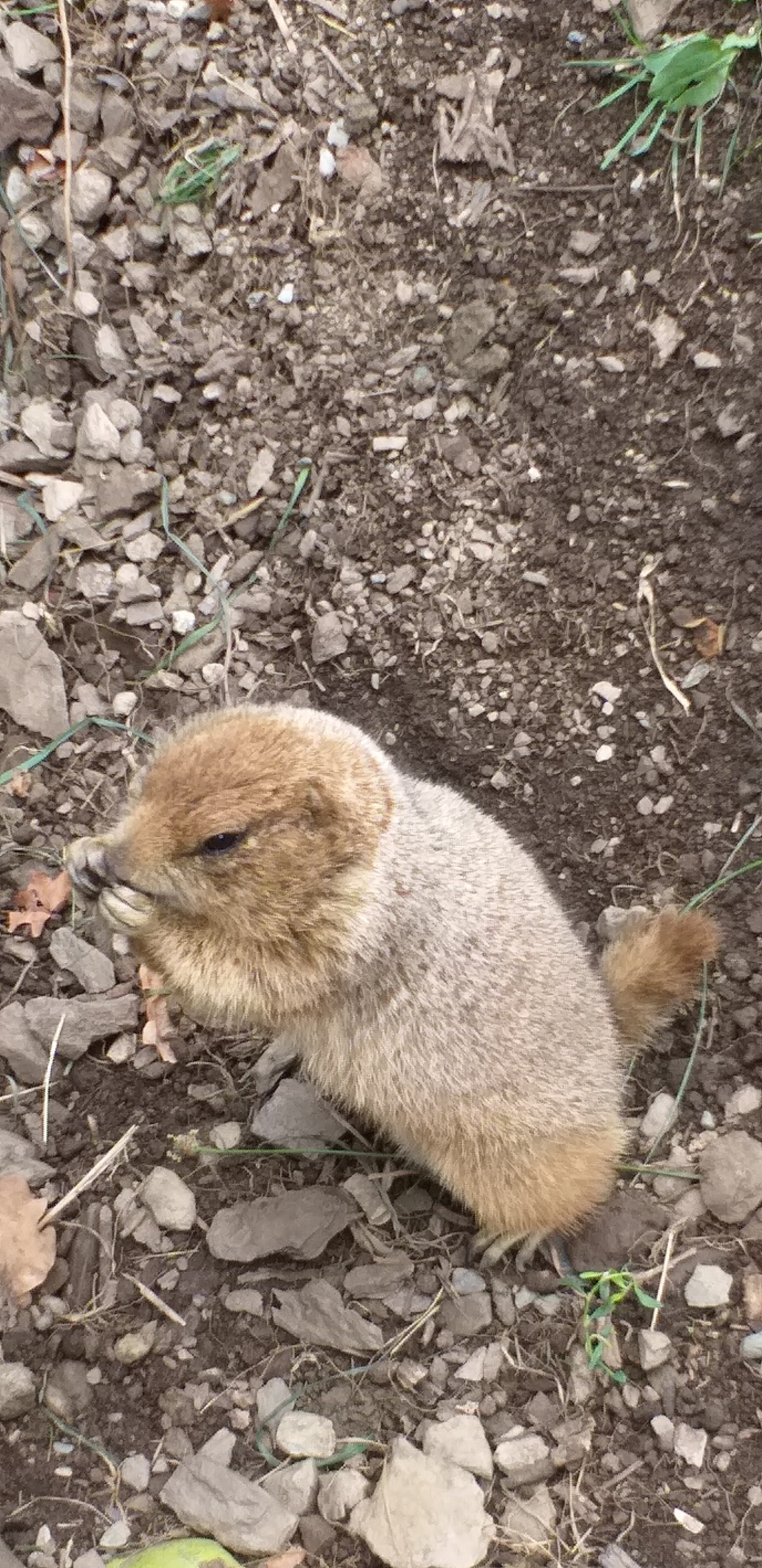 Photo n° 19 de l'avis de Caroline.e fait le 11/08/2019 à 21:48