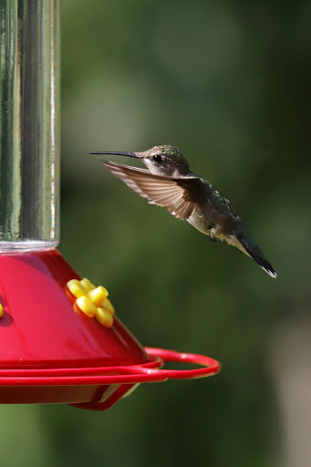Tourist Information Center «Woodlands Nature Station», reviews and photos, 3146 Silver Trail Rd, Cadiz, KY 42211, USA