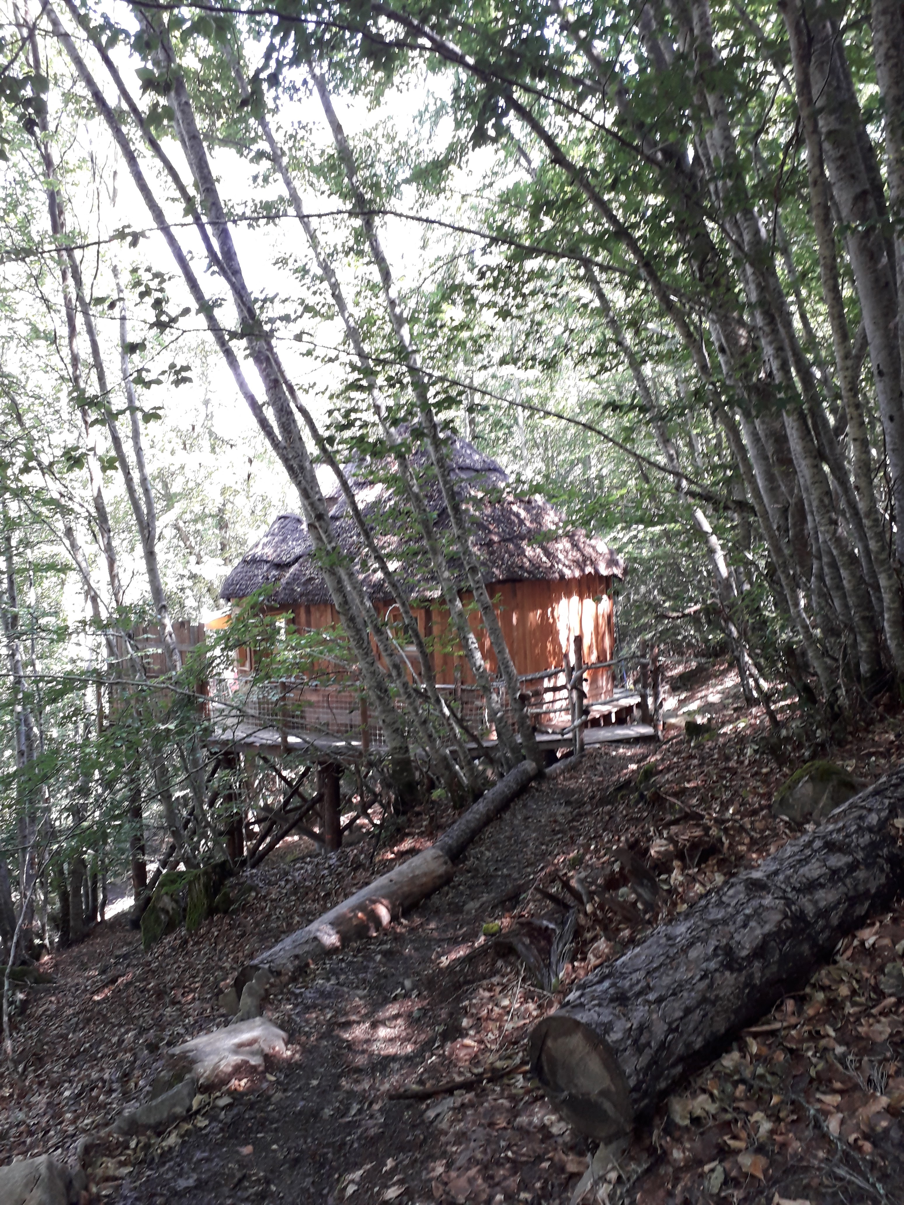 Photo n° 1 de l'avis de Arés.2 fait le 13/08/2020 à 11:06