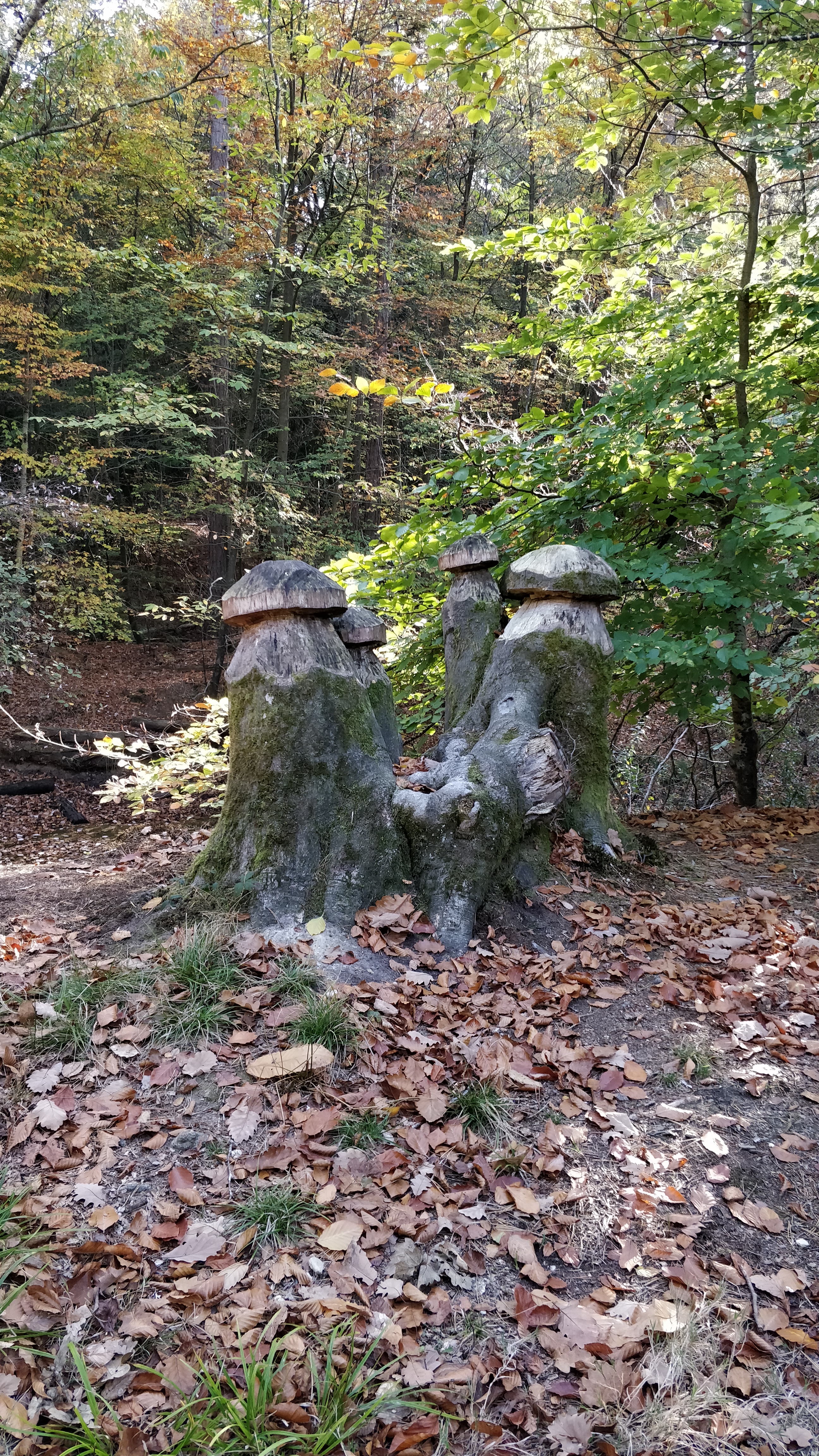 Photo n° 1 de l'avis de stephane.O fait le 23/10/2018 à 14:59
