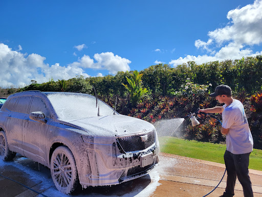 Baggs Mobile Auto Detail en Makawao