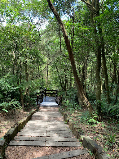長壽坡－大崙尾山登山步道