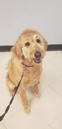 Pet Supply Store «PetSmart», reviews and photos, 367 Mt Hope Ave, Rockaway, NJ 07866, USA