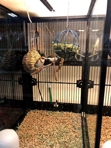 Pet Supply Store «PetSmart», reviews and photos, 190 Rt 10 West, East Hanover, NJ 07936, USA