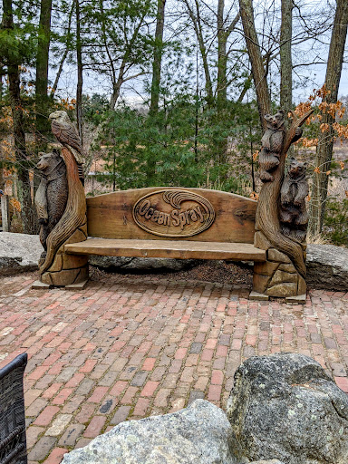 Nature Preserve «The Nature Trail and Cranberry Bog», reviews and photos, 252 Patriot Pl, Foxborough, MA 02035, USA