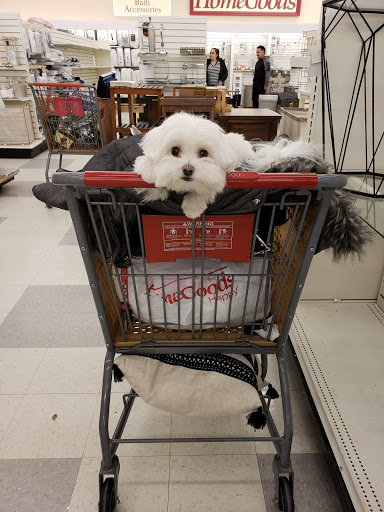 Department Store «HomeGoods», reviews and photos, 344 W Army Trail Rd, Bloomingdale, IL 60108, USA