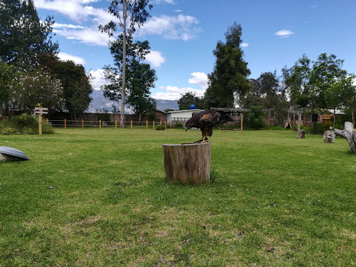 Alado Ilaló Garden