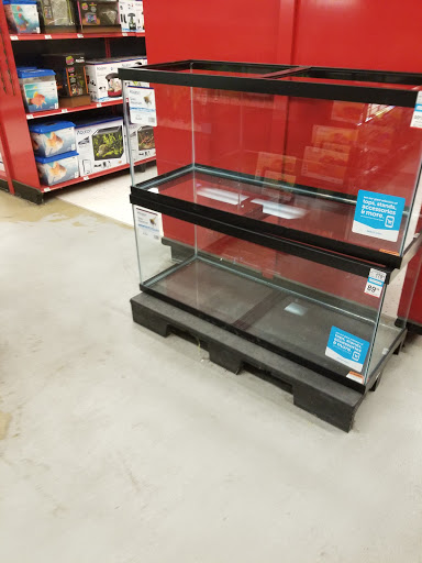 Petco Dog Training image