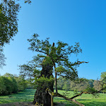 Photo n° 1 de l'avis de Christophe.e fait le 21/08/2023 à 09:50 pour Forêt de Broceliande, Val sans Retour à Tréhorenteuc