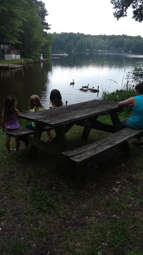 General Store «Wilderness General Store», reviews and photos, 9220 Plank Rd, Spotsylvania, VA 22553, USA