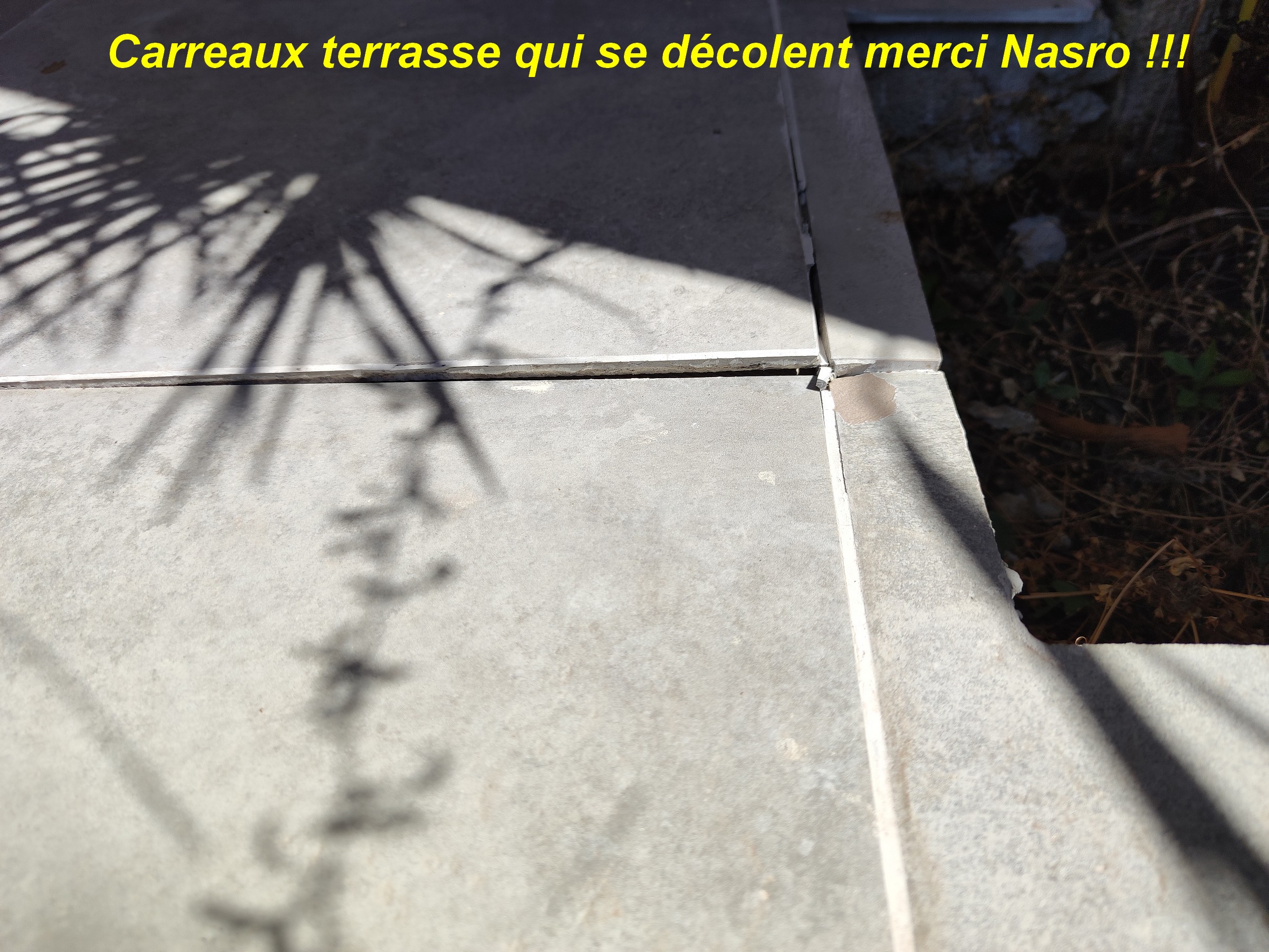 Photo n° 6 de l'avis de Bahamas.a fait le 12/09/2022 à 08:18